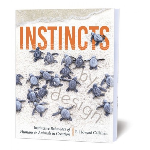 Instincts By Design