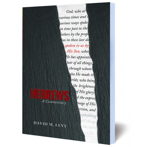 Hebrews: A Commentary