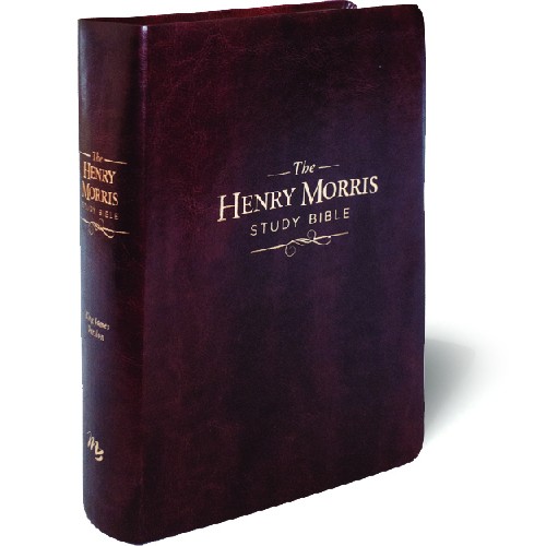 Henry Morris Study Bible KJV - Burgundy Imitation Leather