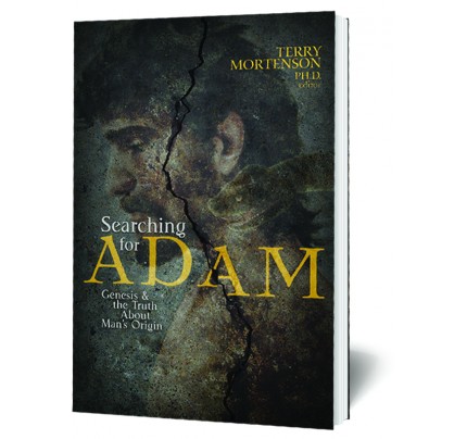 Searching for Adam